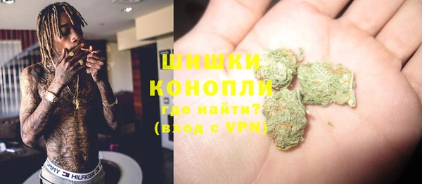 PSILOCYBIN Абаза