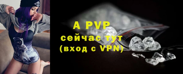PSILOCYBIN Абаза