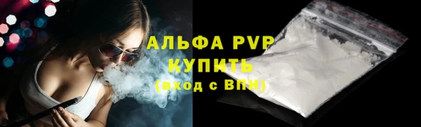 сатива Абинск