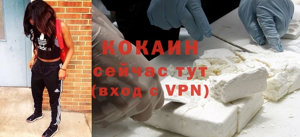 сатива Абинск