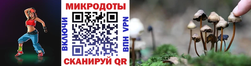 Псилоцибиновые грибы мухоморы Власиха